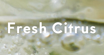 【香りで選ぶ】フレッシュシトラス