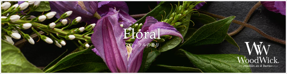eyecatch
