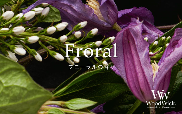 eyecatch