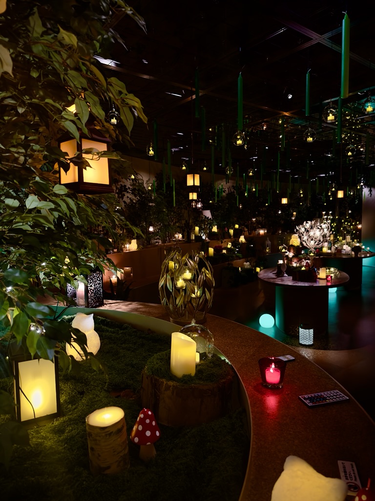 夏の灯り3