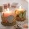 YANKEE CANDLEV[TChLhz_[y菤iz