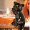 YANKEE CANDLEnEBLbgNK[ycX̔z