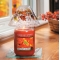 YANKEE CANDLEtXeBbh[tVF[hlyʌ^W[lELpz