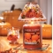 YANKEE CANDLEpvLNbNJbvyʌ̔z