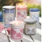 YANKEE CANDLEh[K[fQEBbN^u[yʌ̔z