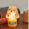 YANKEE CANDLEtHXgGKXW[SVF[hZbgyʌ̔z