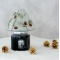 YANKEE CANDLEtHXgGKXVF[hlyICVbv^W[lELpz