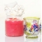 YANKEE CANDLEx[uuJbvyʌ̔z