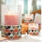YANKEE CANDLEO[CO^[WJbvyʌ̔z