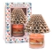 YANKEE CANDLEs[`wLTSW[SVF[hZbgyʌ̔z