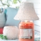 YANKEE CANDLEouUCNVF[hl