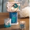 YANKEE CANDLEhStCVF[hlyW[lELp^cX̔z