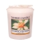 YANKEE CANDLETv[yʌ̔z