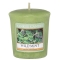 y݌Ɍ^ʌzYANKEE CANDLETv[