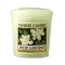 YANKEE CANDLETv[