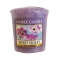 YANKEE CANDLETv[ycX̔z