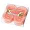 YANKEE CANDLENAJbveB[CgS