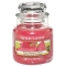 YANKEE CANDLEW[SycX̔z