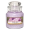 YANKEE CANDLEW[Syʌ̔z