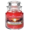 YANKEE CANDLEW[Syʌ̔z