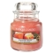 YANKEE CANDLEW[SycX̔z