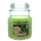 YANKEE CANDLEW[lycXׁz