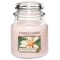 YANKEE CANDLEW[lycX̔z