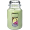 YANKEE CANDLEW[LycX̔z