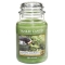 YANKEE CANDLEW[LycX̔z