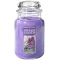 YANKEE CANDLEW[LycX̔z