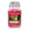 YANKEE CANDLEW[LycX̔z