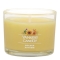 YANKEE CANDLEVOl`[^u[~jycX̔z