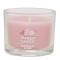 YANKEE CANDLEVOl`[^u[~jycX̔z