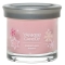 YANKEE CANDLEVOl`[^u[SycX̔z