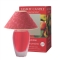 YANKEE CANDLE[pt[