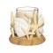 YANKEE CANDLEV[TChLhz_[y菤iz