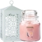 YANKEE CANDLEW[l@XN[LhEH[}[ZbgizCgj