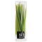 BOUGIES LA FRANCAISEo[Xf[LhQO{
